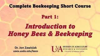 Part 1 Intro to Beekeeping [upl. by Mainis]