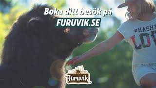 Omsorgsfull öppning  Furuvik 2020 [upl. by Kafka]