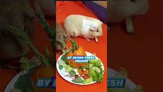 Guinea Pigs need Vitamin C guineapig guineapigfacts guineapigcare pets guineapigfood [upl. by Heiskell]