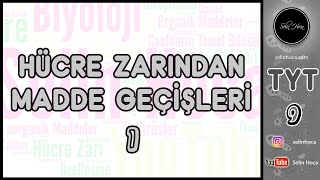 13 Hücre Zarından Madde Geçişleri 1 [upl. by Nairolf]