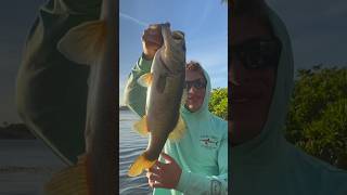 WORLD RECORD SIZE BASS🐠viral largemouthbassfishing florida catchandrelease shorts slobs [upl. by Dupuis778]