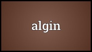 Algin Meaning [upl. by Ainesey592]