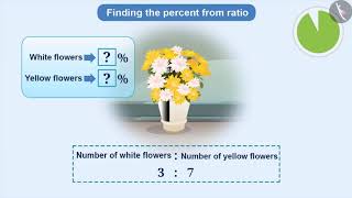 Percentages Fractions and Decimals  Part 24  English  Class 7 [upl. by Yorgen]