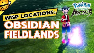 Pokémon Legends Arceus  All Wisp Locations Obsidian Fieldlands [upl. by Accebar]