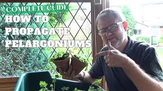 Complete Guide on Taking Pelargonium Cuttings  How to Propagate Pelargonium  Gardening Tips [upl. by Philemon726]