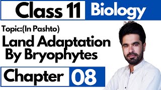 Land adaptation by bryophytes  Class 11 biology chapter 8 in pashto [upl. by Sima590]