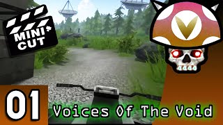 Vinesauce Joel  Voices Of The Void Highlights  Part 1 [upl. by Simah]