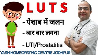 LUTS Best Homeopathic treatment Prostatitis UTI Burning urine homeopathy treatment ।पेशाब में झलन [upl. by Mack]