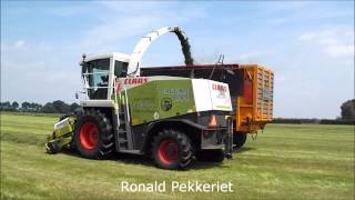 Gras hakselen door Loonbedrijf Wardenier Vroomshoop Claas Jaguar 890 Fendt [upl. by Omarr]