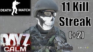 DayZ  DEATHMATCH  11 Kill Streak 2  Factory Fun in Krasnostov [upl. by Notled777]