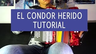 EL CONDOR HERIDO  Diomedez Diaz  Tutorial de Acordeon completo [upl. by Arlo]