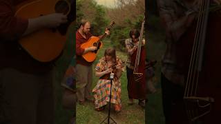 Our HouseCrosby Stills Nash and Young…full version will be available on May 3rd on our channel [upl. by Aihtnic]