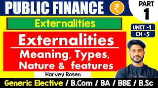 Externalities  Meaning Types features Nature  Public Finance GE  Bcom H amp BA  Sem 4 amp 6  DU [upl. by Placida266]