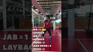 Shadow Boxing Defence LAYBACK 1LB1LB232 [upl. by Nodnarb464]