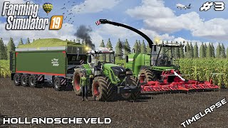 Silage harvest with MrsTheCamPeR 🇳🇱  Animals on Hollandscheveld  Farming Simulator 19  Episode 3 [upl. by Ethelbert]