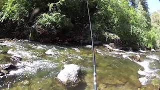 042 Tenkara  Yellowstone Cutthroats 1 [upl. by Orecic968]