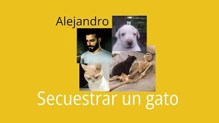 Alejandro  Secuestrar un gato [upl. by Mulry]