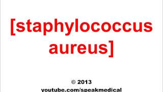 Pronounce Staphylococcus Aureus  SpeakMedical [upl. by Lait83]