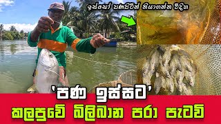 Dont Miss Out Epic Live Prawn Fishing in Negombo Amazing Sri Lankan Fishing Experience [upl. by Dijam]