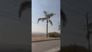 South Redlands California california [upl. by Sadiras]