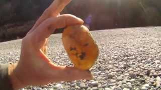 hunting for agates 10 fraser river [upl. by Yzeerb471]