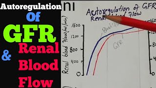 Autoregulation of GFR amp Renal Blood Flow  Kidney physiology lecture 73 [upl. by Chadwick]