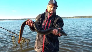 La pêche dans la peau S1E8 Anguille dAmérique Du fleuve StLaurent à la mer des Sargasses [upl. by Eryn848]