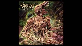 Coprocephalic  Gluttonous Chunks Full Album [upl. by Samul]