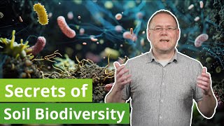 Life in the soil the secrets of soil biodiversity [upl. by Yate883]