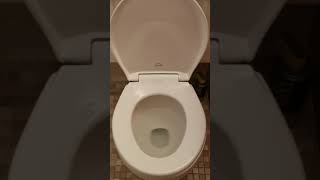 More on Bemis toilet seat [upl. by Ordep]