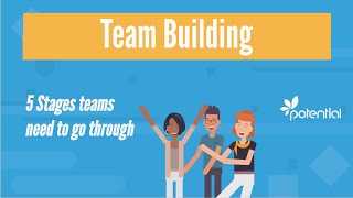 5 Stages of Team Building  What you should know when developing teams or groups [upl. by Haduhey377]