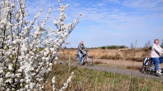 Weerbericht donderdagmiddag Warme vrijdag [upl. by Lhok]