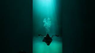 Diving Cenotes around Tulum Mexico [upl. by Jarrid970]