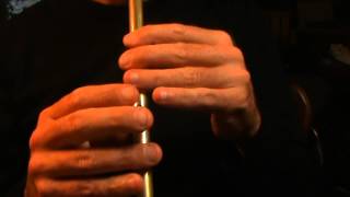 The Hills of Coore Hornpipe  Irish Tin Whistle Tune [upl. by Airdnaz182]