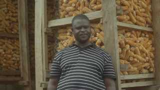 Indigenous maize preservation Cameroon [upl. by Aiksas]