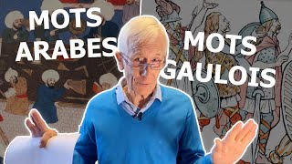 Mots gaulois et mots arabes du français [upl. by Elleirad]