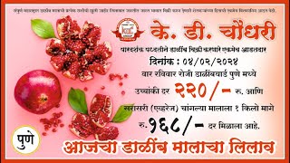 K D Choudhari Dalimb Yard Pune  दिनांक ०४०२२०२४ वार रविवार रोजीचा डाळिंब आणि पेरू मालाचा लिलाव [upl. by Freud]