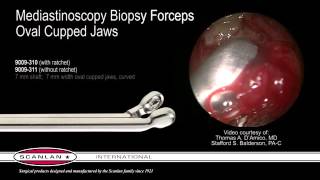 Scanlan Mediastinoscopy Biopsy Forceps [upl. by Denni327]