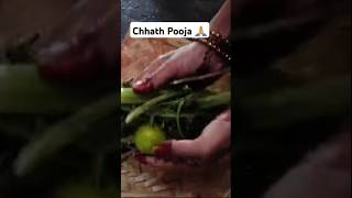 Chhath Pooja shorts chhathpuja gardening chhathgeet nature ytshorts song shortsvideo [upl. by Keriann]