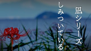 凪シリーズ「しみついている」【ゆっくりホラーオーディオドラマゆっくり怪談】 [upl. by Mini]