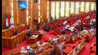 Amid N30trn Ways And Means Probe Senate Amends CBN Act [upl. by Wartow]