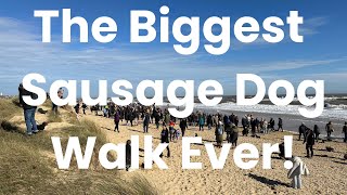 THE BIGGEST SAUSAGE DOG WALK EVER [upl. by Cruickshank992]