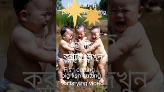 মাছ কাটা Fish cutting fise fish kating perfect fish cutting big Fish cutting satisfying video 🔥🐬🚀 [upl. by Kcirdes]