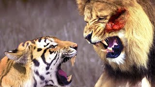 Il Predatore Perfetto 🔴 Documentario National Geographic Wild [upl. by Julita]