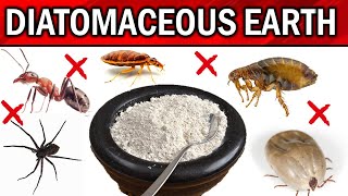 How to Use Diatomaceous Earth for Pest Control  FLEAS TICKS BEDBUGS COCKROACHES DOGS amp CATS [upl. by Behah215]