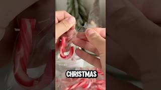 Which candy cane will you choose for Christmas christmas candycane [upl. by Eran]