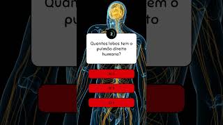 QUIZ sobre o CORPO HUMANO quiz perguntas corpohumano divertido [upl. by Eiba]