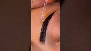 perfect site of waxing eyebrows eyebrowwaxing eyebrowwax eyebrowtutorialforbeginners [upl. by Ora]