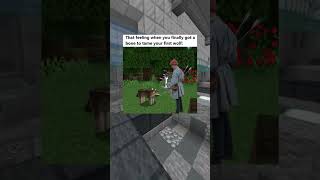 Funny Minecraft Memes [upl. by Florin]