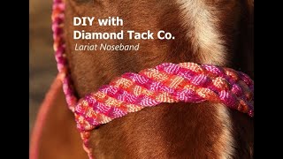 Lariat Noseband Mule Tape Halter With A Lead Rope Tie Loop [upl. by Adda]